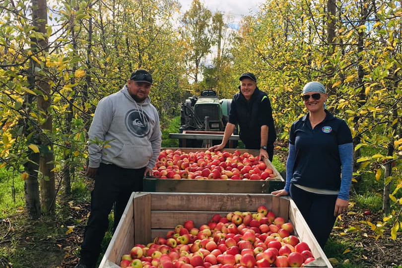 Members of Hansen Orchards apple picking team 2020