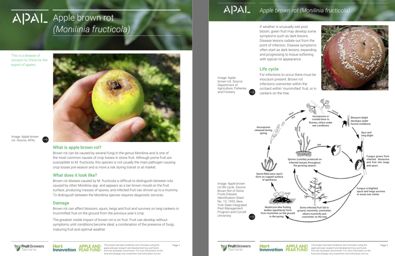 Crop monitor factsheets_APAL