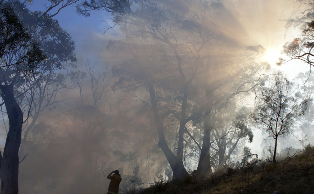 Bushfire preparedness