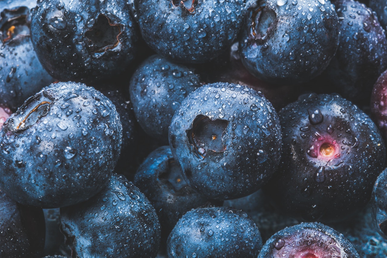 HEADER blueberry macro