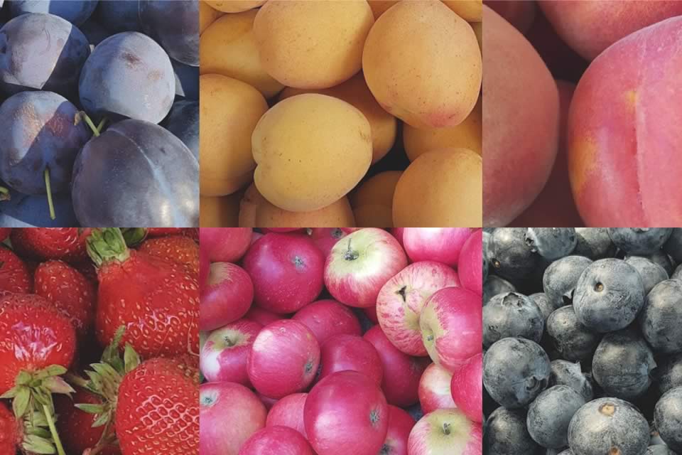 It’s time to book your space in the 2018/2019 Tasmanian Seasonal Produce Guide